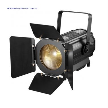 LED Fresnel Light 300W