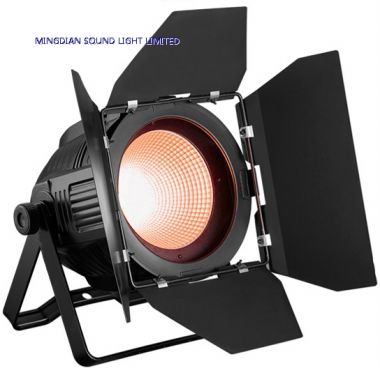 COB LED Par 100W/200W