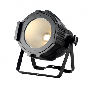 LED COB Par Light